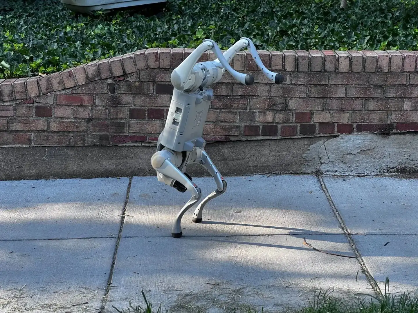 A Unitree Go2 Pro quadruped robot dog balancing in a handstand on its front legs
